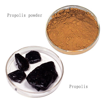 Propolis and Propolis Powder